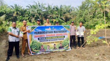 Target Swasembada: Polri & BUMDes Desa Kita Baru Tanam 30 Ribu Jagung Pipil Betras Metode Tumpang Sari